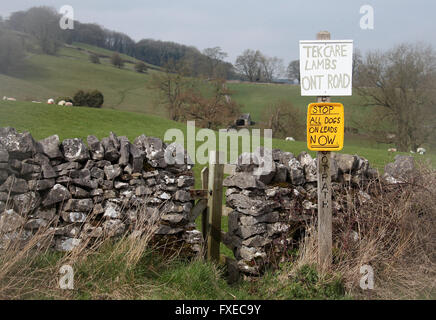 Care in the countryside sign at lambing time in Bakewell Stock Photo