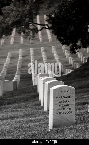 Heroes Wife. A grave stone of a soldier's wife. Stock Photo