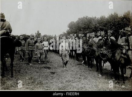 Besichtigung der Divisionskavallerie der 15 Infanteriedivision durch Erzherzog Karl am 24.8.1916 Stock Photo