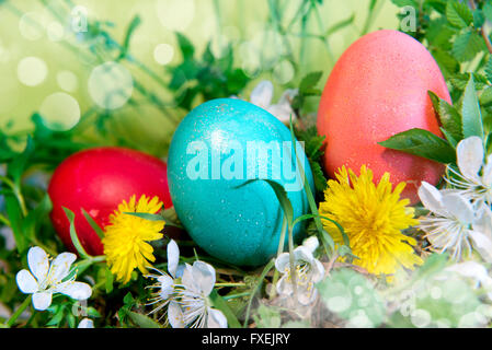 Row of Easter eggs in Fresh Green Grass Stock Photo