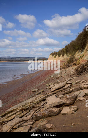 Garden Cliff, Westbury on Severn, Gloucestershire, England. Stock Photo