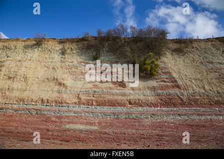 Garden Cliff, Westbury on Severn, Gloucestershire, England. Stock Photo