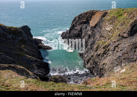 High cliffs near Solva on the Pembrokeshire coast path in west Wales. Stock Photo
