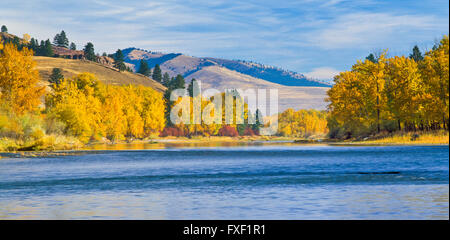 panorama of fall colors along the bitterroot river near missoula, montana Stock Photo