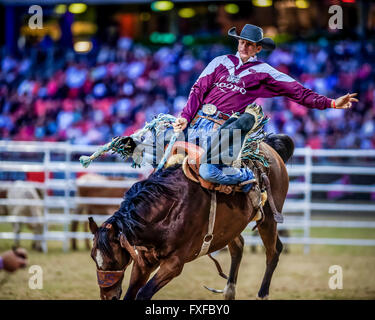 Christopher Shortis Sydney, Australia. 20 March 2016. Pictured: Chris Shortis from the ...