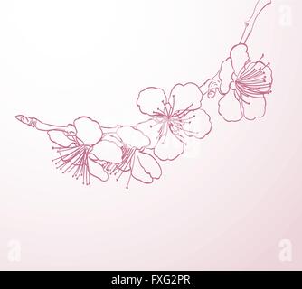 blossoming tree flowers line art hand drawing. spring stylish background with pink flowers outline vector Stock Vector