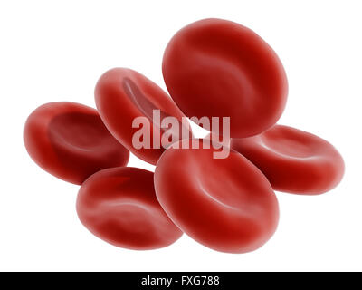 Red blood cell isolated on white background Stock Photo