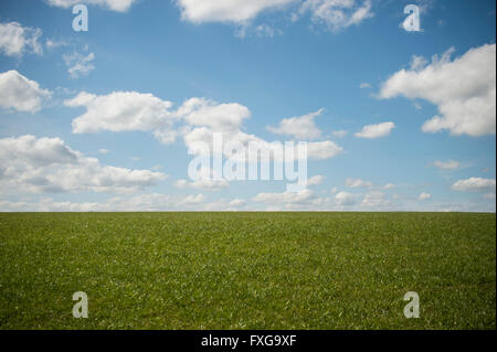 Beautiful day fluffy clouds in blue sky above grassy hill Stock Photo