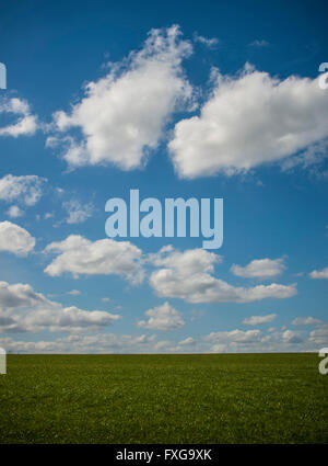 Beautiful day fluffy clouds in blue sky above grassy hill Stock Photo