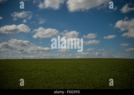 Beautiful day fluffy clouds in blue sky above grassy hill Stock Photo