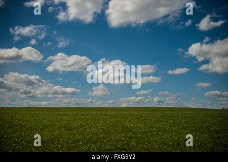 Beautiful day fluffy clouds in blue sky above grassy hill Stock Photo