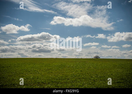Beautiful day fluffy clouds in blue sky above grassy hill Stock Photo