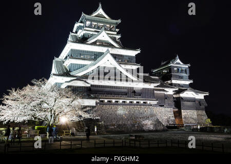 Kumamoto castle in Japan at night. The double keep, Daitenshu and Shotenshu, greater and lesser keeps, Illuminated. Cherry Blossom tree in foreground. Stock Photo