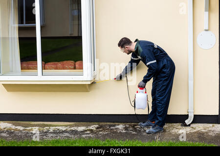 Pest control man spraying pesticide Stock Photo