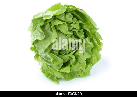Head cabbage lettuce vegetable isolated on a white background Stock Photo