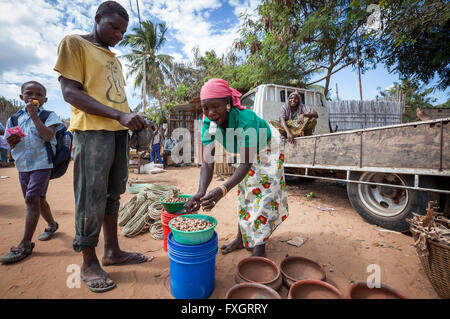 Mozambique, men and women at work in the middle of the plantation, with truck. Stock Photo