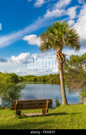 Bench in Deer Prairie Creek in Deer Prairie Creek Preserve in Venice Florida