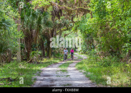Couple bike riding on Ranch House Road in Myakka River State Park in Sarasota County in Sarasota Florida Stock Photo