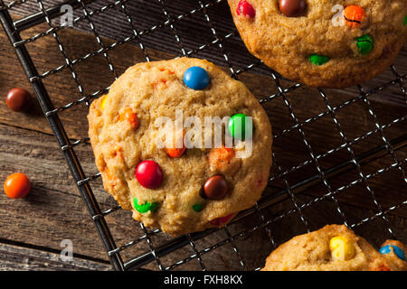 Homemade Candy Coated Chocolate Chip Cookies Ready to Eat Stock Photo