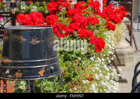 Creative street design of cafe terrace with blooming geranium and old metal bucket in the city center. Lviv, Ukraine Stock Photo