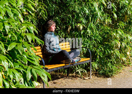 Lund, Sweden - April 11, 2016: Young adult woman meditate on a park bench surrounded by shrubbery. Legs crossed and eyes shut. F Stock Photo
