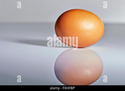 Close up on a egg on table with hard light and deep shadow Stock Photo