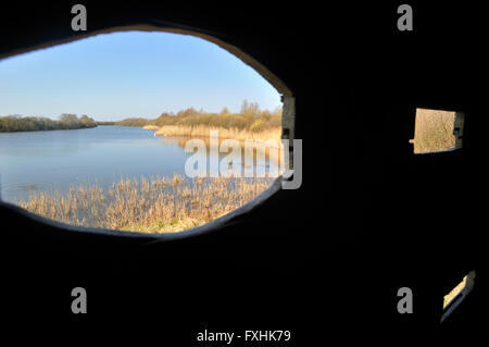 View from bird hide over lake in the nature reserve Parc du Marquenterre at the Bay of the Somme, Picardy, France Stock Photo