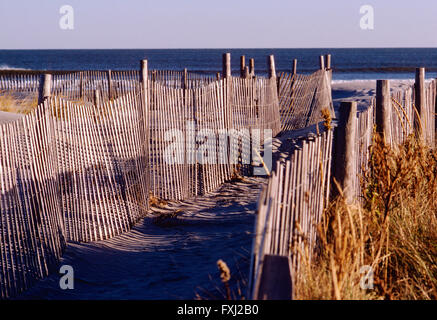 Wooden storm fencing along sand dunes and beach Stock Photo
