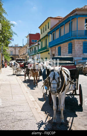 Vertical view of horsedrawn carriages waiting for customers in Havana, Stock Photo