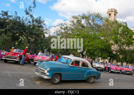 Horizontal view of lots of classic American cars parked in a row in Havana, Cuba. Stock Photo