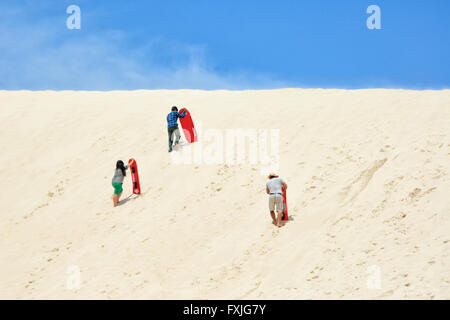People Sandboarding, Little Sahara, Kangaroo Island, South Australia, SA, Australia Stock Photo