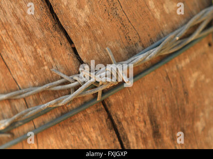Barbed wire wrapped around an outback Australian fence post with copy space Stock Photo