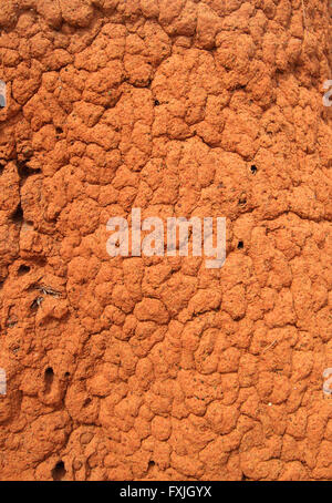 Red termite mound in the Australian outback, detail background view. Stock Photo