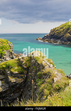 Cadgwith Cove Cornwall Rugged Cornish Coastline Lizard Stock Photo