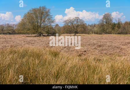 English Heathland Cloud Formations Countryside in Spring  Kent Stock Photo