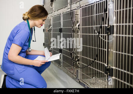 Vet monitoring sick rabbit in cage Stock Photo