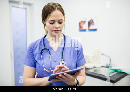 Vet using digital tablet Stock Photo