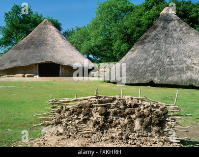 Reconstructed roundhouses 6 (L) & 2 (R) at Castell Henllys defended settlement, Pembrokeshire, occupied during the Late Bronze Age & Iron Age. Stock Photo