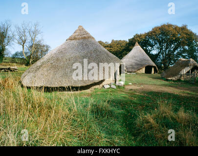 Reconstructed roundhouses 2 & 1 at Castell Henllys defended settlement, Pembrokeshire, occupied during Late Bronze Age/Iron Age c 1000BC-AD60 Stock Photo