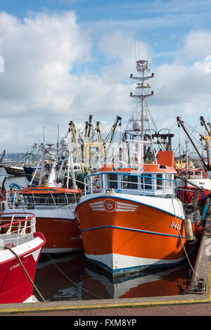 Fishing boats moored in the harbour at the fishing port of Brixham Devon UK