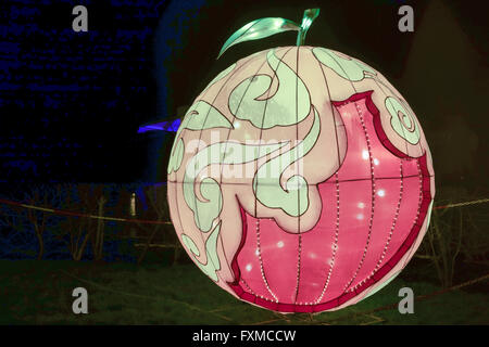 An apple at the Magical Lantern Festival celebrates the Year of the Monkey at Chiswick Park in London. Stock Photo