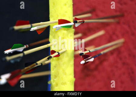 Arrows for the sports of archery in target. Shallow depth of fields Stock Photo