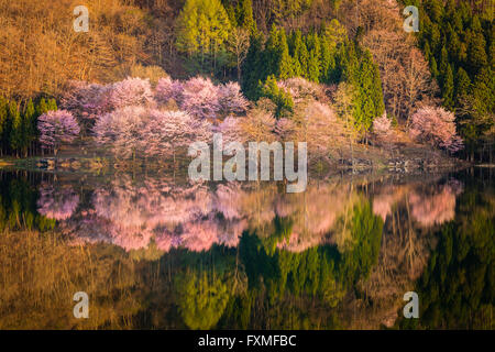 Lake Nakatsuna, Omachi, Japan Stock Photo