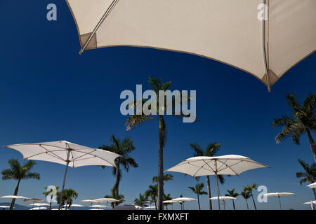 Poolside resort umbrellas with palm trees in Nuevo Vallarta Mexico Stock Photo
