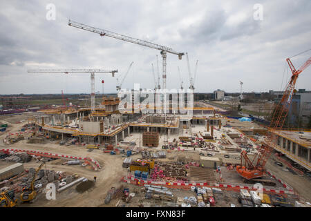 Picture shows the progress of the construction work of the new Papworth Hospital in Cambridge on March 22nd 2016. Stock Photo