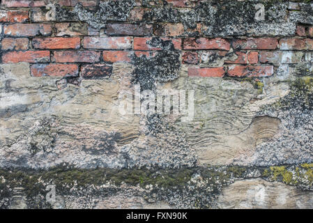 Distressed wall with moss and crumbling render Stock Photo