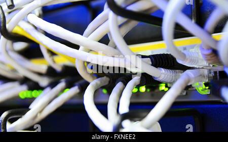Closeup of network switch with connected ethernet cords and blinking status green led indicators. Stock Photo