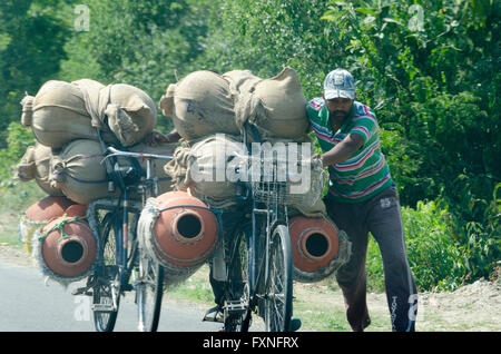 Man carrying large load on two bicycles, near Dharamsala, Kangra District, Himachal Pradesh, India, Stock Photo