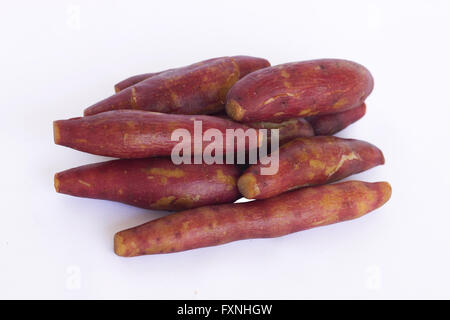 Pile of steamed sweet potato ready to be served Stock Photo