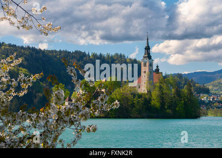 Lake Bled, Slovenia Stock Photo